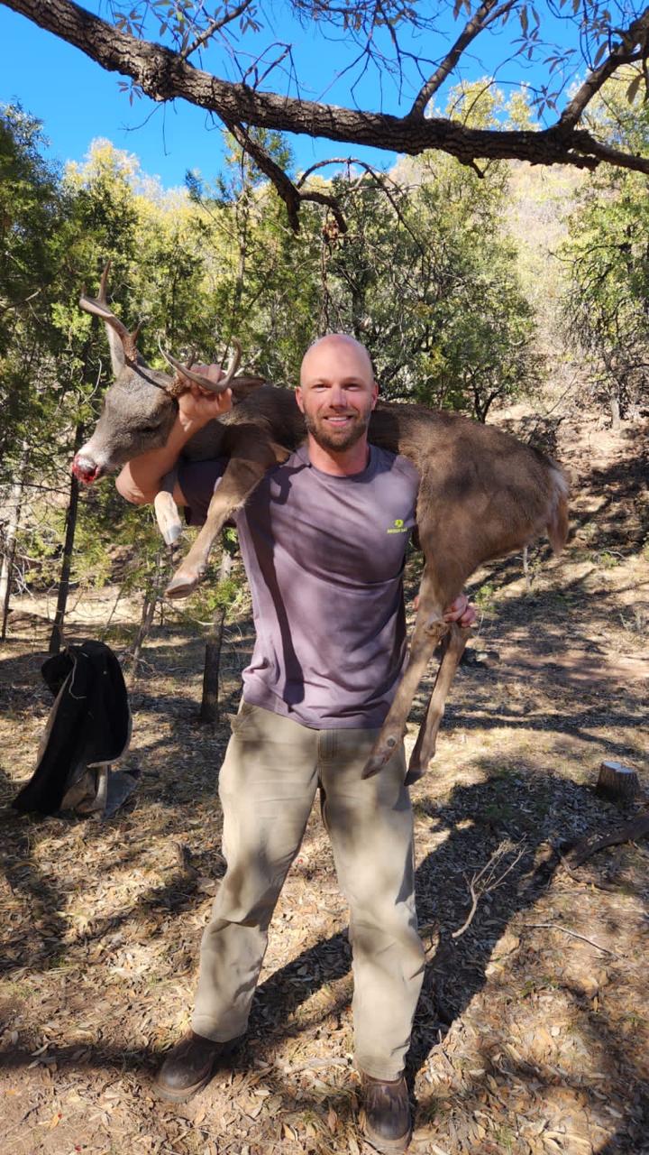 Mule deer buck