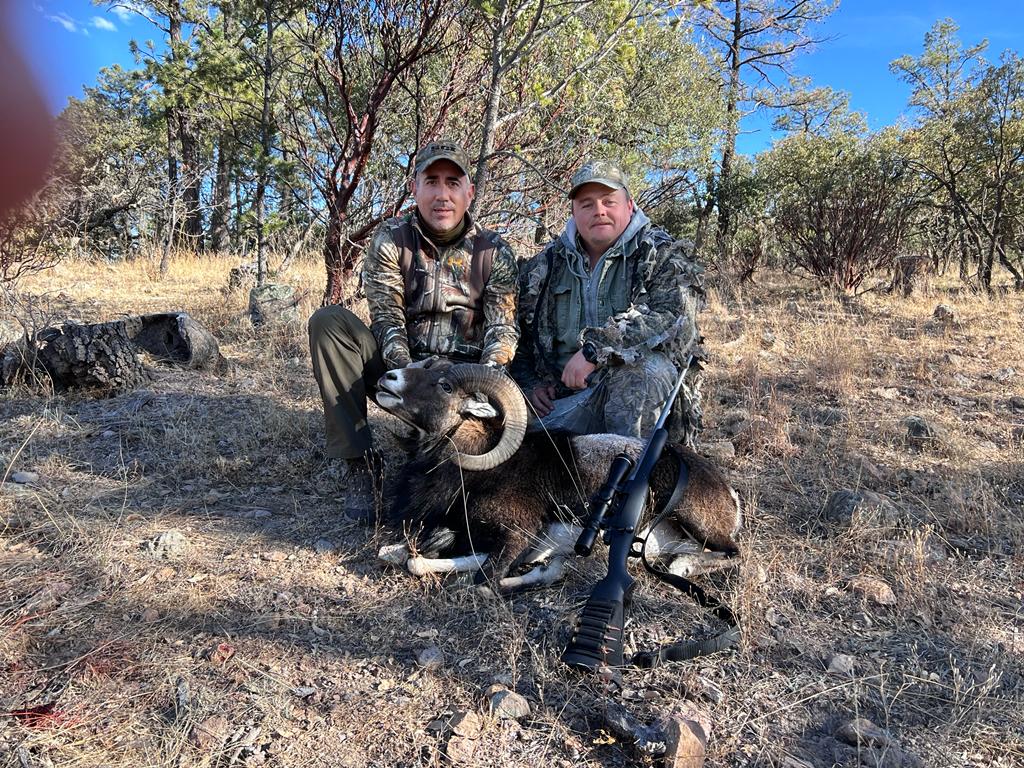 Wild hog with hunter