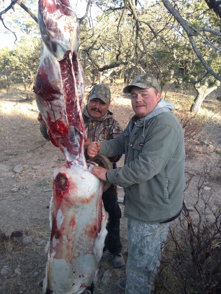 Hunter with wild boar or exotic in Chihuahua, Mexico