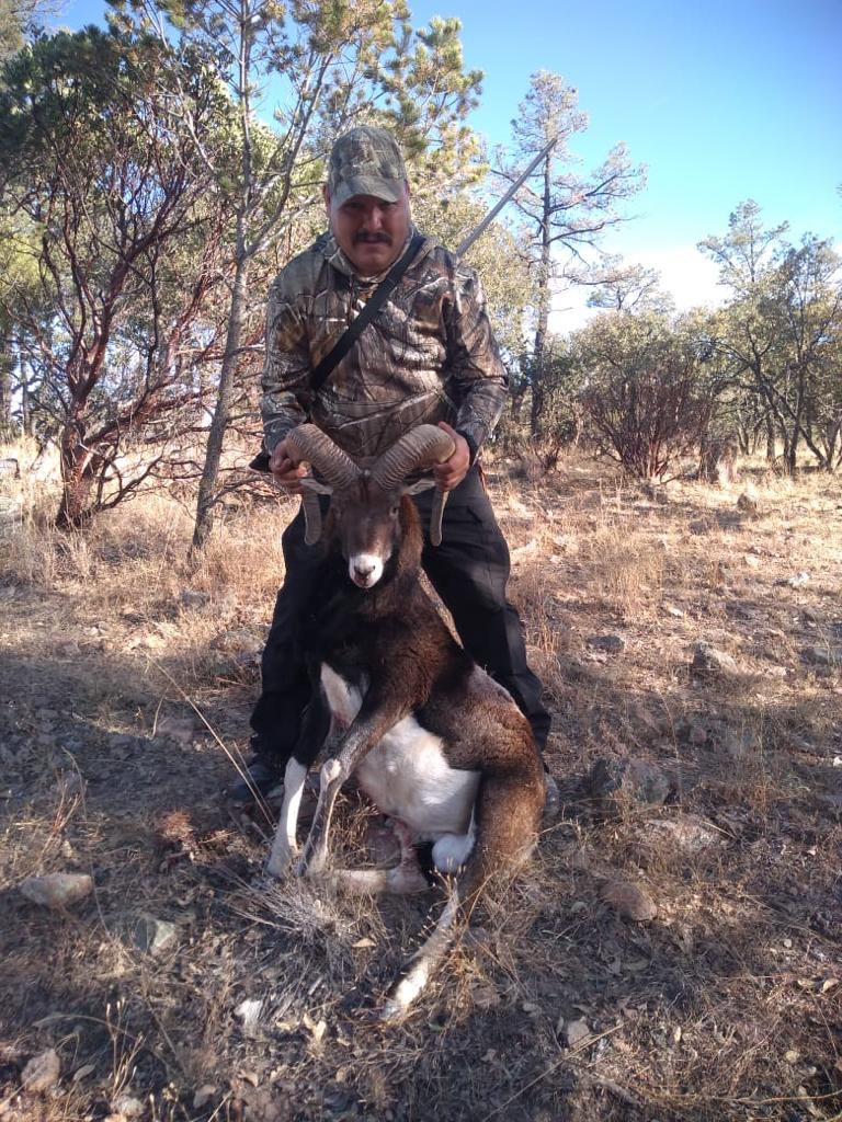 Hunter with wild boar or exotic in Chihuahua, Mexico