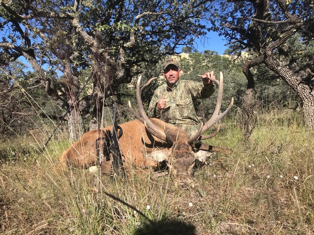 Hunter with wild boar or exotic in Chihuahua, Mexico