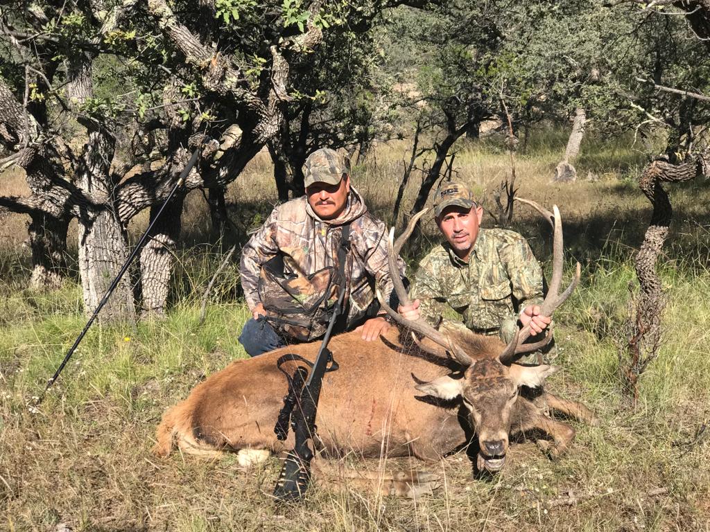 Hunter with wild boar or exotic in Chihuahua, Mexico