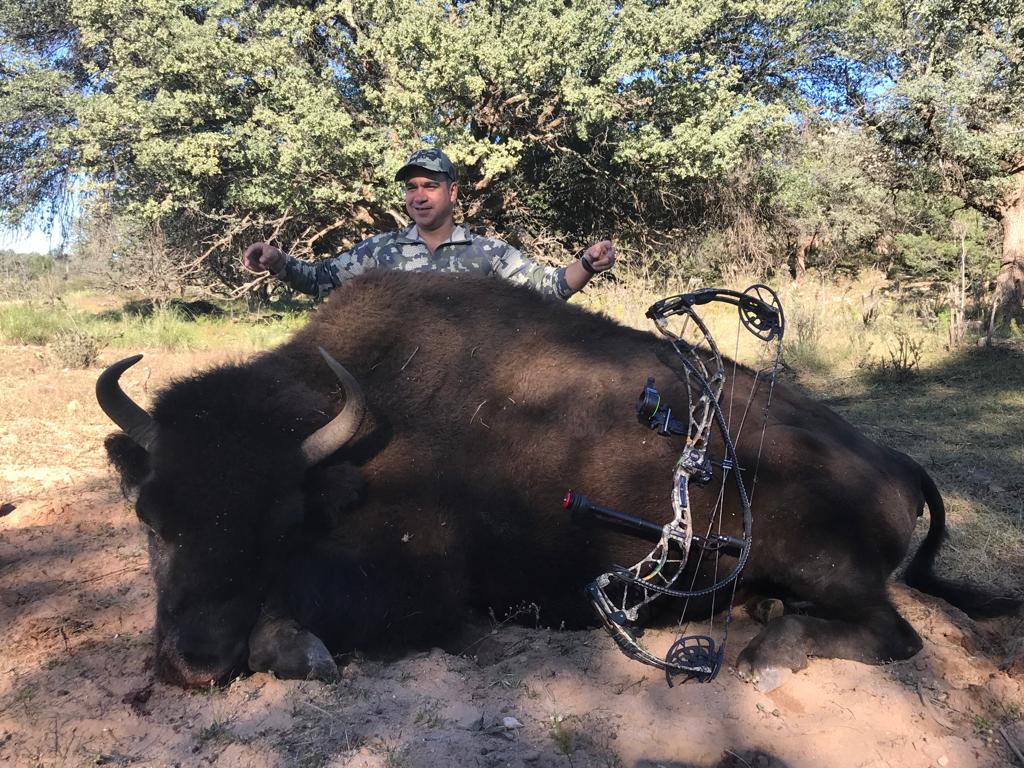 Hunter with wild boar or exotic in Chihuahua, Mexico