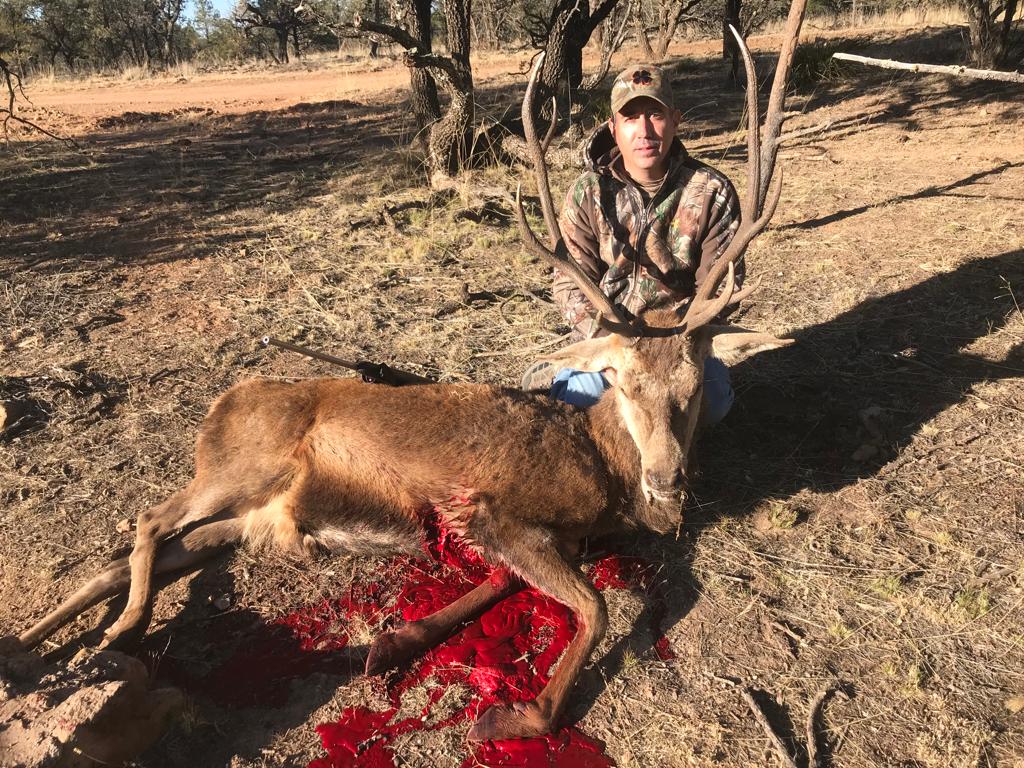 Hunter with wild boar or exotic in Chihuahua, Mexico