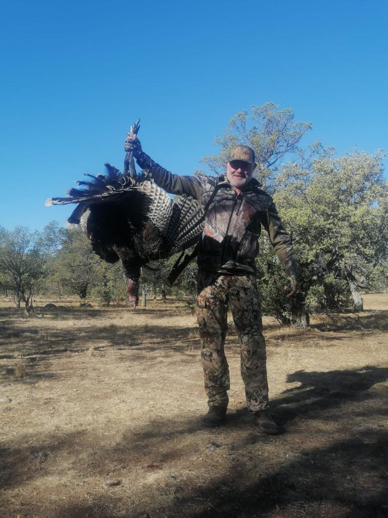 Hunter carrying a Gould's turkey out of the field