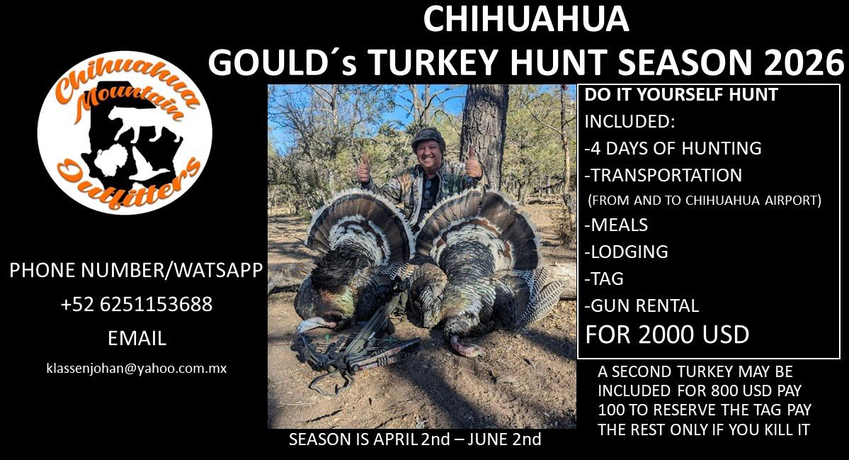 Gould's turkey 2026 hunt package — 4 days, transportation, meals, lodging, tag, gun rental for $2000 USD
