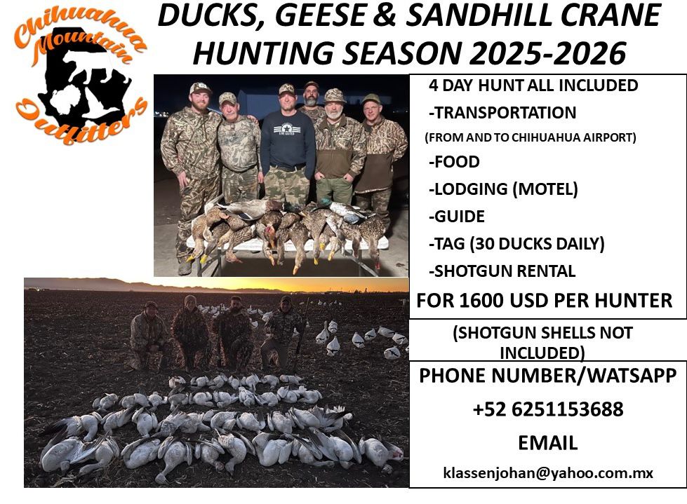 Ducks, geese & sandhill crane 2025-2026 hunt package — 4 days, transport, food, lodging, guide, tag and shotgun rental for $1600 USD per hunter