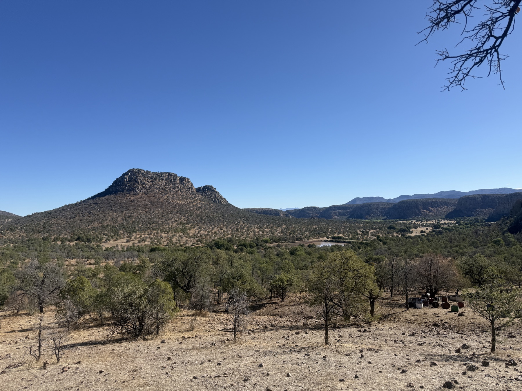 Chihuahua valley vista — oak savanna and distant peaks